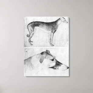Toile Greyhound et tête d'un greyhound