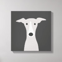Greyhound mignon, Greyhound italien ou Chien Whipp