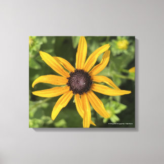 Toile gris foraday Floral Jaune Imprimer