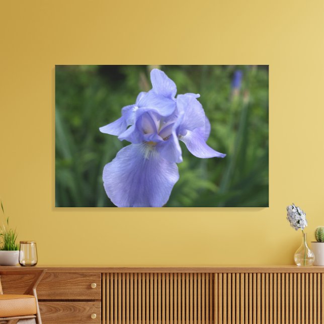 Toile Gros Plan De Fleur Iris Violet (Insitu(Salon))