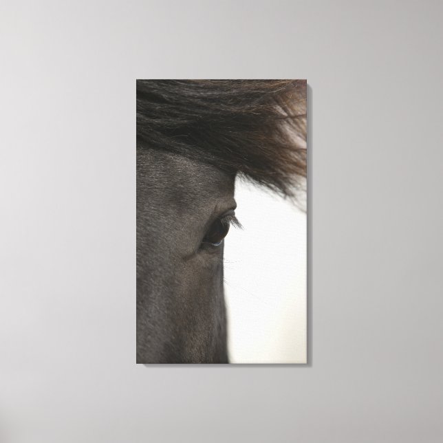 Toile Gros plan de l'oeil et des cheveux (Recto)