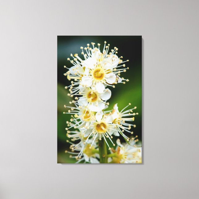 Toile Gros plan de petites fleurs (Recto)