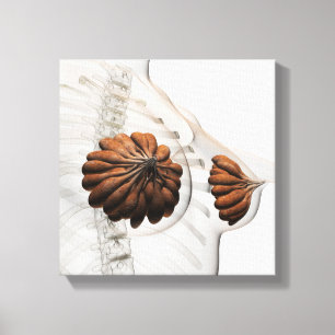 Toile Gros Plan Des Marais Mammaires Féminins