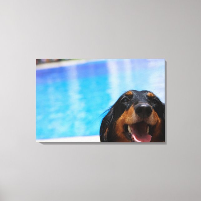 Toile Gros plan d'un chien Dachshund (Recto)