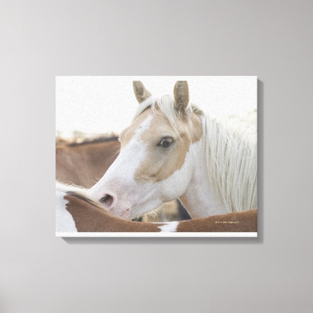 Toile Gros plan d'un troupeau de chevaux 2 (Recto)