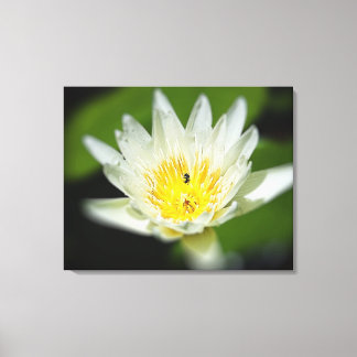 Toile Gros plan Fleur Lit d'Eau Blanche et Abeille 2