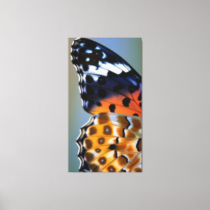 Toile Gros plan sur des ailes de papillon