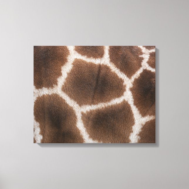Toile Gros plan sur la peau des girafes (Recto)