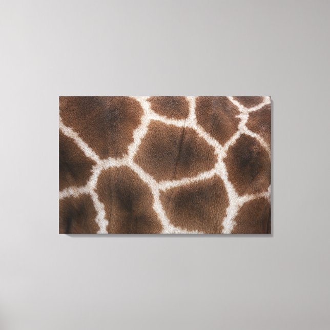 Toile Gros plan sur la peau des girafes (Recto)