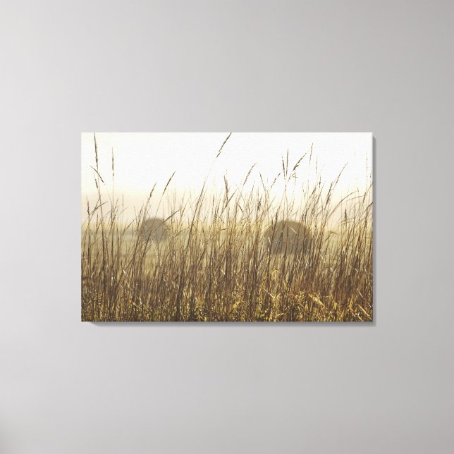 Toile Gros plan sur la photographie du blé (Recto)