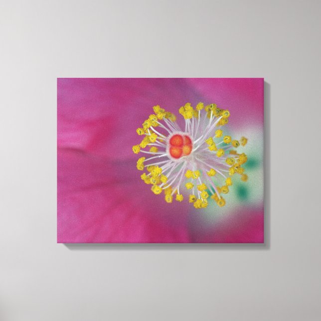 Toile Gros plan sur l'étamine de fleur d'Hibiscus, Hibis (Recto)