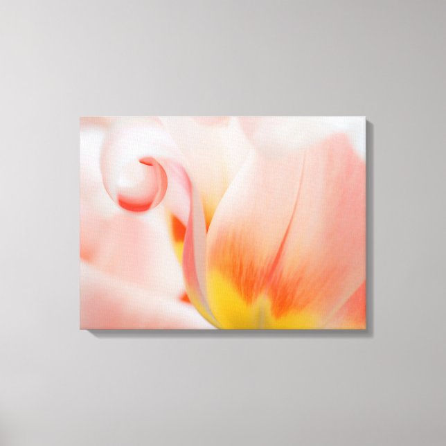 Toile Gros plan sur tulipe 3 (Recto)