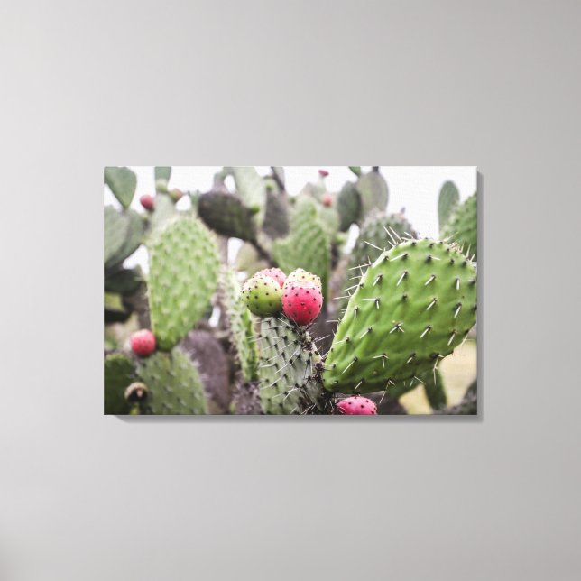 Toile Gros plan sur un cactus figuier de barbarie (Recto)