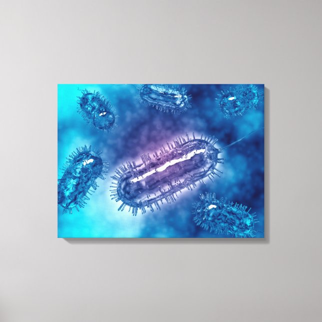 Toile Groupe De Cellules Bactéries Escherichia Coli 1 (Recto)