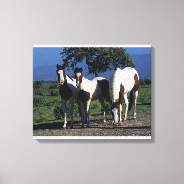 Toile Groupe de Chevaux de Peinture (Recto)