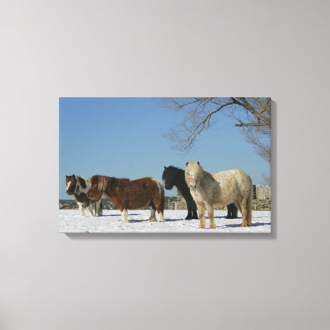 Toile Groupe de Chevaux miniatures dans la neige (Recto)