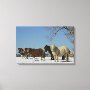 Toile Groupe de Chevaux miniatures dans la neige