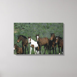 Toile Groupe de Chevaux sauvages Mustang