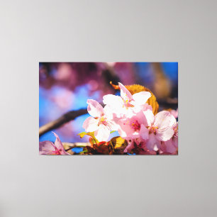 Toile Groupe De Fleurs Sakura, Rose Doux, Fond Bleu
