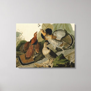Toile Groupement rouffé par John Audubon