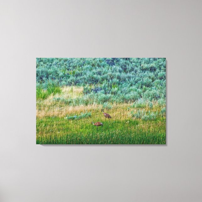 Toile Grues Sandhill (Recto)