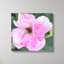 Gryforaday Pink Floral Print