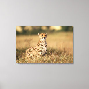 Toile Guépard sur un petit monticule pour une meilleure