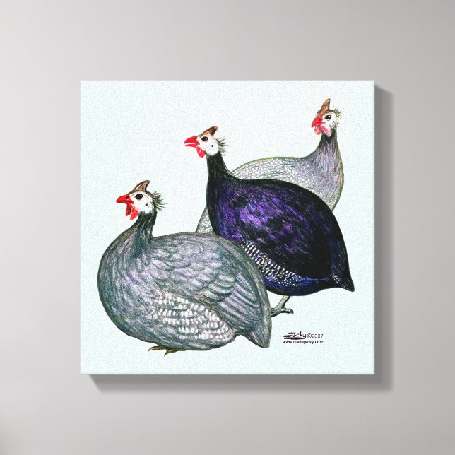 Toile Guineas trois (Recto)