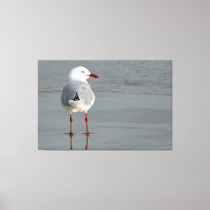 Toile GULL D'ARGENT 40x60