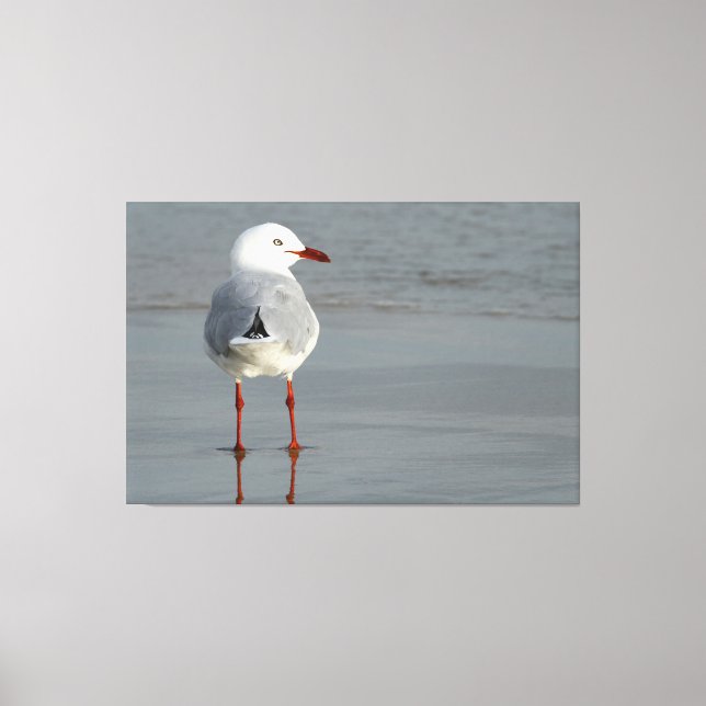 Toile GULL D'ARGENT 40x60 (Recto)
