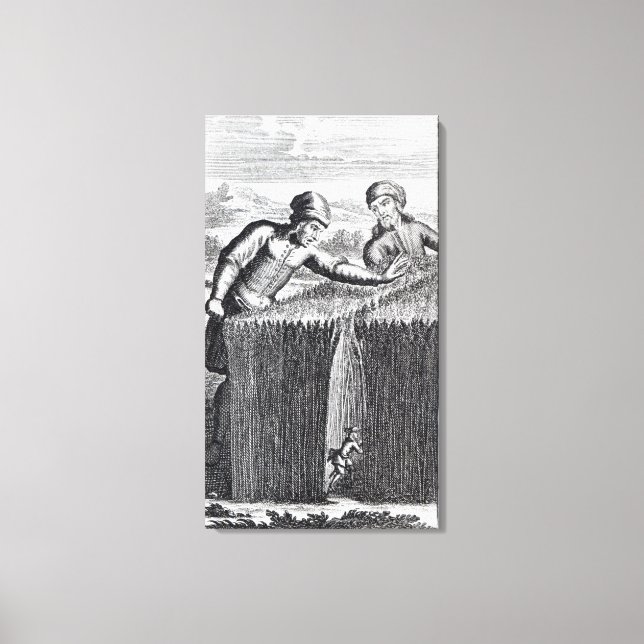 Toile Gulliver est découvert par un fermier à (Recto)