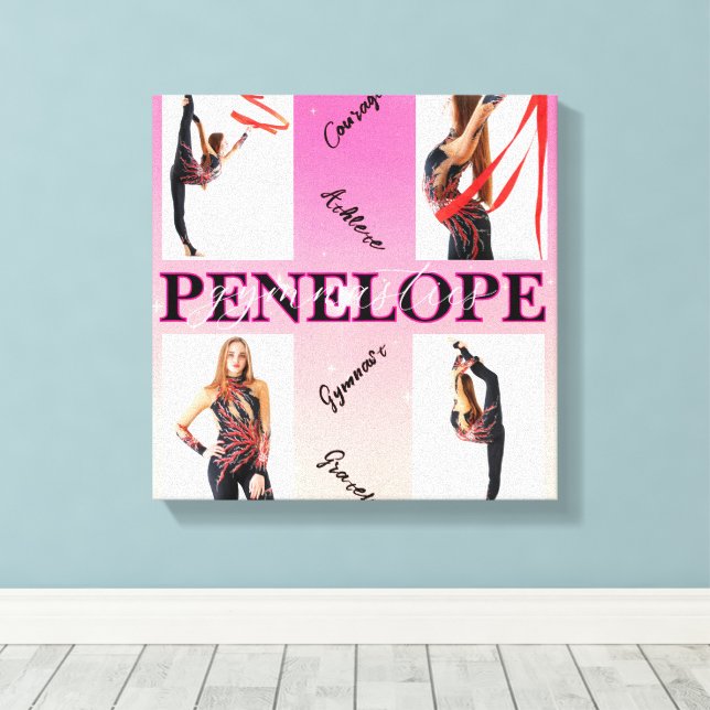 Toile Gymnastique enchevêtrée rose 4 Photo Encouragement (Insitu (Plancher de Bois))