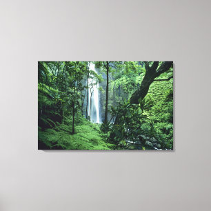 Toile Hanakapiai tombe le long de la côte de Na Pali, 