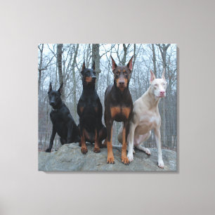 Toile Harmonie traditionnelle et non colorée