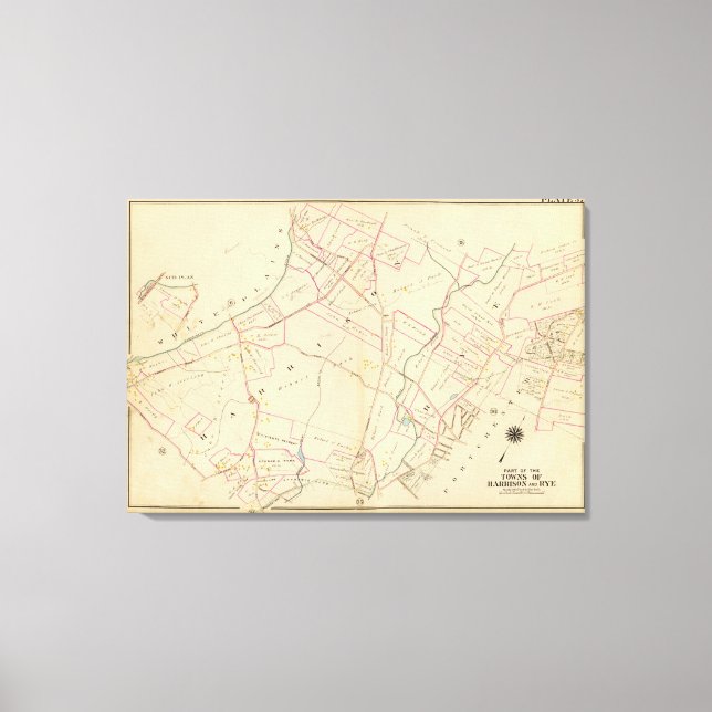 Toile Harrison, Rye, New York 3 (Recto)