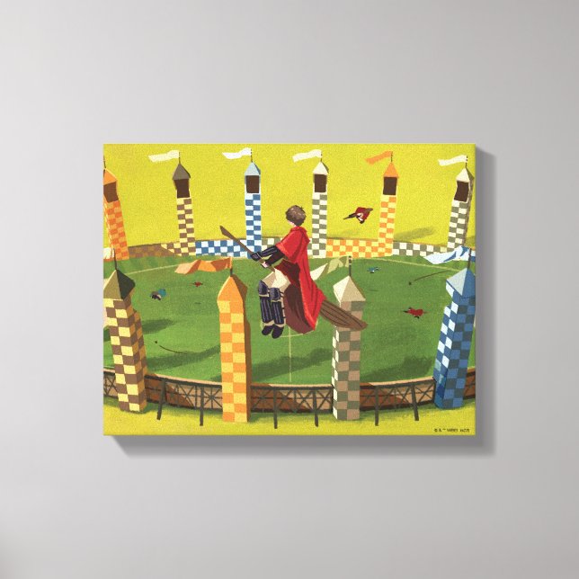 Toile HARRY POTTER™ À la recherche du Vif d'or (Recto)