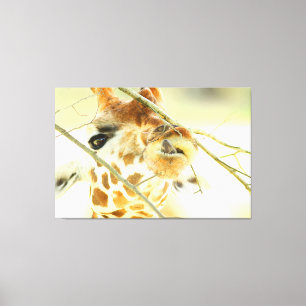 Toile HAUT ESPOIR 40x60