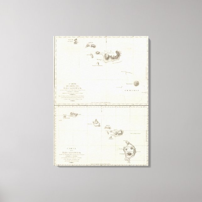 Toile Hawaii (Recto)