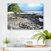 Hawaii Black Sand Beach & Coral "Love" Heart Photo