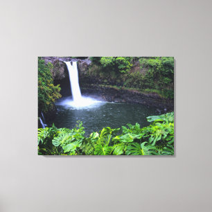 Toile Hawaii, Grande Île, Hilo, Rainbow Falls, Luxuriant