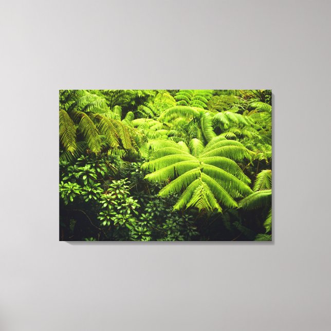 Toile Hawaii, Grande Île, Verdure tropicale luxuriante e (Recto)