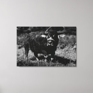 Toile HawaiiA Water Buffalo Photo Hawaii