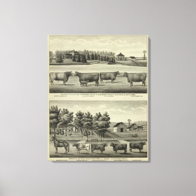 Toile Hayes, Olathe et Ellis Residence and Farm (Recto)
