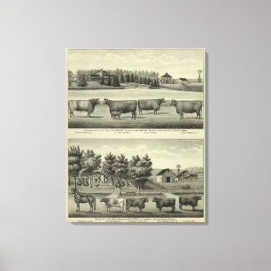 Toile Hayes, Olathe, et résidence et ferme d'Ellis