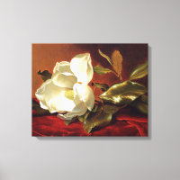 Heade - Un Magnolia sur Velours Rouge