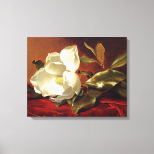 Toile Heade - Un Magnolia sur Velours Rouge