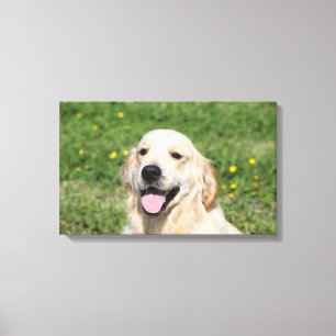 Toile Headshot 1 de golden retriever