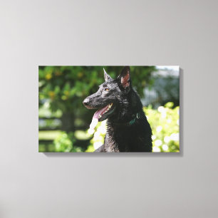 Toile Headshot 2 de berger allemand