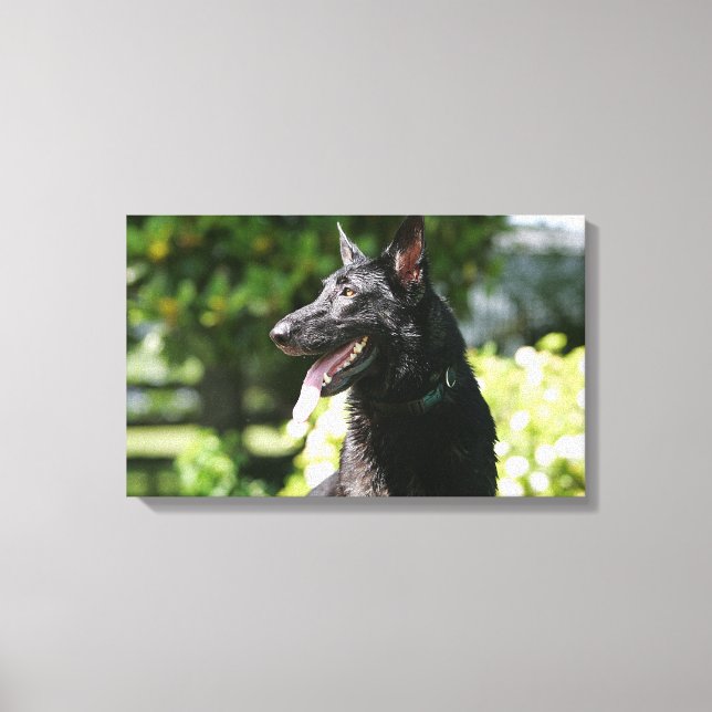 Toile Headshot 2 du berger allemand (Recto)