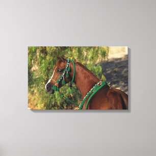 Toile Headshot arabe de cheval avec le frein
